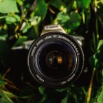 Mijn Eerste Ervaringen met een Wildcamera